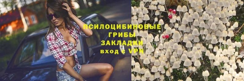 Псилоцибиновые грибы MAGIC MUSHROOMS  магазин продажи   Верещагино 